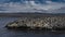 Many black-and-white cormorants settled on a rocky island.