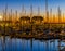 Many boats in the harbor of blankenberge at sunset, beautiful scenery in a popular Belgian city