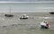 many boats on the muddy beach on Cancale town