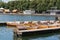 Many boats in a summer day, Maschsee, Hannover