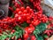 Many branches of Holly berries as a symbol of christmas and new year celebration