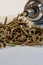 Many brass colored wood screws