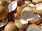 Many broken eggshells recycled for composting