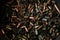 Many bullets. War, ammunition, aggression concepts. Rows of bullet. Bullets Background.
