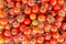 Many bunches of red vine tomatoes