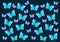 Many Butterflies origami that fly