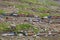 Many cars and trucks stuck in traffic jam at Rohtang pass due to landslide in Himachal Pradesh state, Northern India