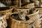 Many Cats in Wicker Baskets on Handicraft Market, New Wickerwork, Cat in Hand Made Basket