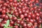 Many cherry