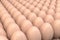 Many chicken eggs. 3d render realistic background