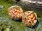 Many chicken eggs in wood basket boiled at hot spring