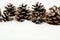 Many christmas pine cones on snow in line