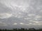 Many Coconut Trees With Clouds and crops