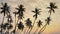 many coconut trees at gorgeous al haffa beach in salalah during sunrise, Oman