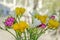 Many colored bouquet freesia flowers, window bokeh background