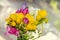 Many colored bouquet freesia flowers, window bokeh background