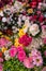 Many colorful artificial fake flowers background blooming beautiful