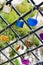 Many colorful love padlocks on fence