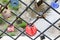 Many colorful love padlocks on fence