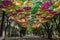 Many colorful umbrellas with trees around, holambra, Brazil.