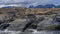 Many cormorants settled on a rocky island in the Beagle Channel.