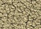 Many cracked dry desert backgrounds