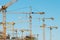 Many cranes on building site - construction cranes on blue sky