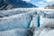 Many crevasses covering the surface of the Salmon Glacier near Hyder, Alaska make travel on the remote glacier very dangerous