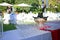 many crystal wineglasses and red wine in a metal vase on buffet table in garden. Blurred background. Wine tasting