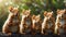 Many cute eyes squirrels nature banner funny creative charming views