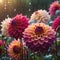 Many Dahlia flowers with rain drops, in rustic garden