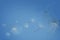 Many dandelion seeds flying on blue background