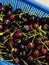 Many dark red cherries with stems