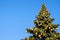 Many decorations and garland on a big faux Christmas tree outdoors on a blue sky background