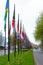 Many different flags street Europe members Union building countries nation road way grass flowers green color type The Hague