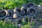 Many different old black dirty used car tires as an illegal abandoned trash dump in remote green area