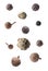Many different peppercorns falling on white background