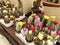 Many a different small multicolored cacti in flower pots as indoor plants