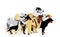 Many dogs in line waiting for veterinary clinic vector. Pack/array of dog illustration isolated on white. Dalmatian, Poodle...