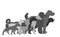 Many dogs in line waiting for veterinary clinic vector silhouette. Pack/array of dog illustration isolated on white. Dalmatian...