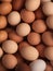 many eggs placed together. well arranged. flat lay. close up shot. warm color.