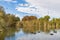 Many Eurasian coot swimming in the Floyd Lamb Park