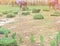 Many farmers helped grow the square grass on the front lawn. Garden decoration contractor company Sand free space