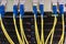 Many fiber-optic Internet wires are connected to the router modules. Yellow telecommunications cable in the server room of the