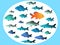 Many fish swim in opposite directions