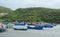 Many fishing boats at Vinh Hy pier in Khanh Hoa, Vietnam