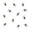Many flies on the wall vector illustration