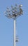 many floodlights in the pole at stadium