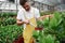 Many of flowers. Man gardener in yellow and white wear working with green plants in vases