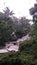 Many forest trees surround the river with murky water with few rocks visible